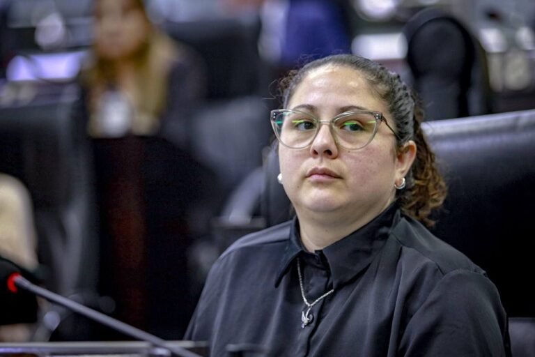 Radicales repudiaron en el HCD el veto de Milei a la Ley de Jubilaciones