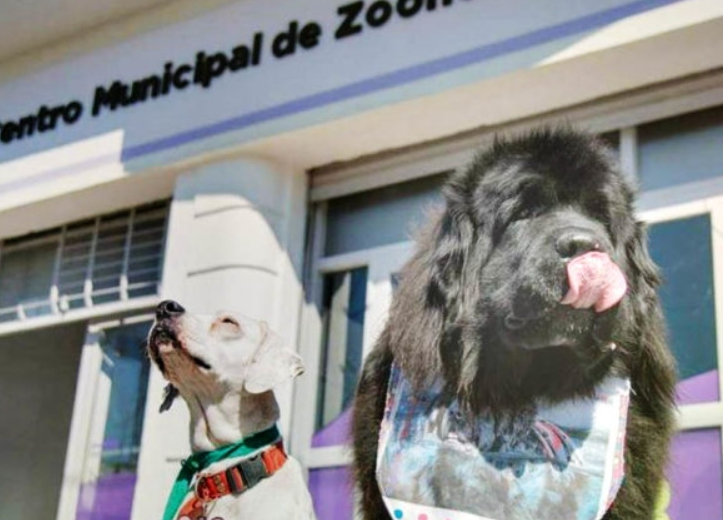 Último día del operativo de Zoonosis en Solano