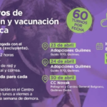 Nuevos operativos de Zoonosis en Quilmes: dónde y cuándo