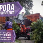 Poda correctiva en Quilmes: guía para que los vecinos puedan solicitarla