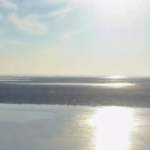 El río amaneció congelado en Quilmes y las redes explotaron