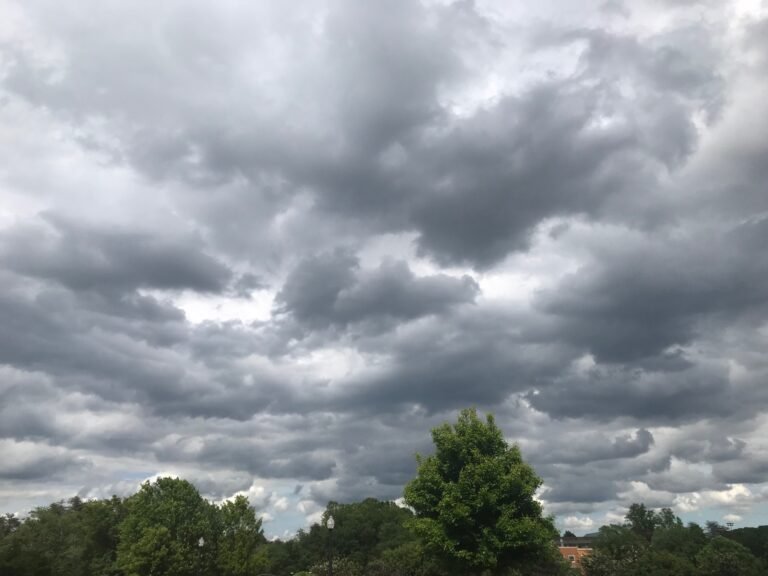 Clima en la provincia de Buenos Aires hoy, martes 2 de septiembre: nubosidad variable y fresco con algunas lluvias leves